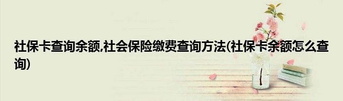 社?？ú樵冇囝~,社會保險繳費查詢方法(社?？ㄓ囝~怎么查詢)
