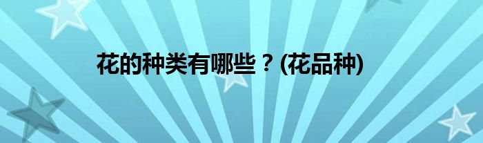 花的種類有哪些？(花品種)
