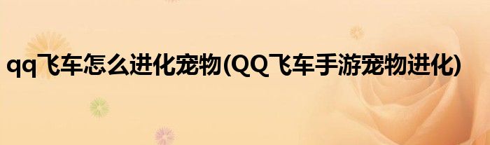 qq飛車怎么進化寵物(QQ飛車手游寵物進化)