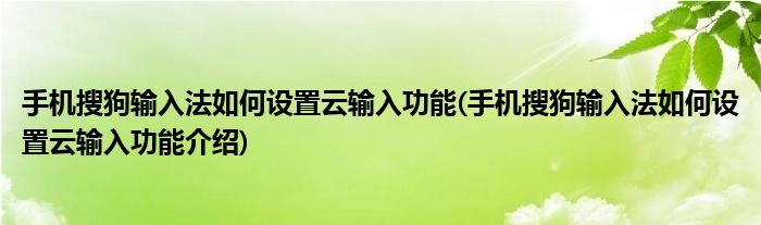 手機搜狗輸入法如何設置云輸入功能(手機搜狗輸入法如何設置云輸入功能介紹)