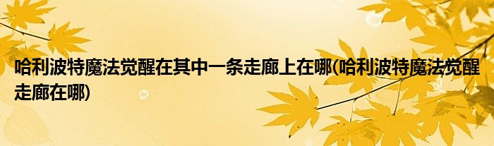 哈利波特魔法覺醒在其中一條走廊上在哪(哈利波特魔法覺醒走廊在哪)
