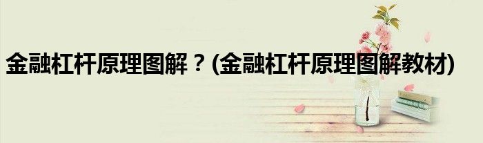 金融杠桿原理圖解？(金融杠桿原理圖解教材)