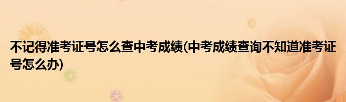 不記得準(zhǔn)考證號怎么查中考成績(中考成績查詢不知道準(zhǔn)考證號怎么辦)