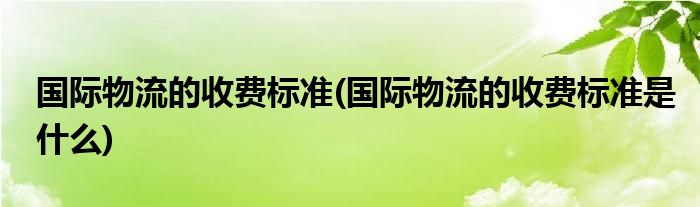 國際物流的收費標(biāo)準(zhǔn)(國際物流的收費標(biāo)準(zhǔn)是什么)