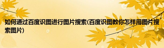 如何通過百度識圖進行圖片搜索(百度識圖教你怎樣用圖片搜索圖片)