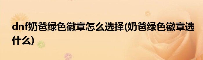 dnf奶爸綠色徽章怎么選擇(奶爸綠色徽章選什么)