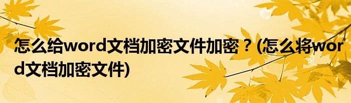 怎么給word文檔加密文件加密？(怎么將word文檔加密文件)