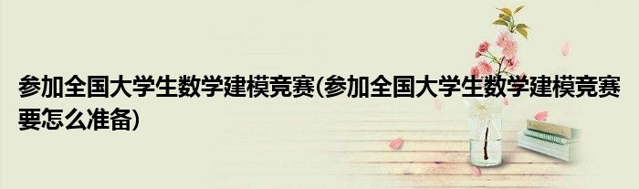 參加全國大學生數(shù)學建模競賽(參加全國大學生數(shù)學建模競賽要怎么準備)