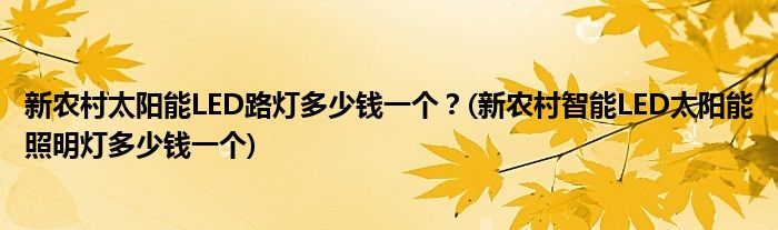 新農(nóng)村太陽(yáng)能LED路燈多少錢一個(gè)？(新農(nóng)村智能LED太陽(yáng)能照明燈多少錢一個(gè))