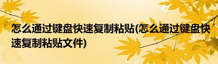 怎么通過鍵盤快速復(fù)制粘貼(怎么通過鍵盤快速復(fù)制粘貼文件)
