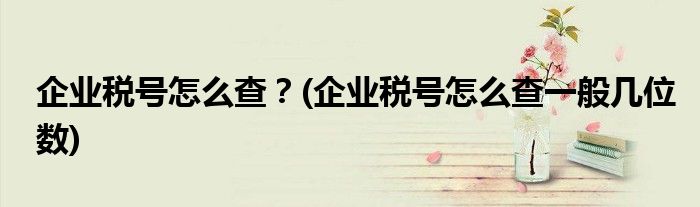 企業(yè)稅號(hào)怎么查？(企業(yè)稅號(hào)怎么查一般幾位數(shù))
