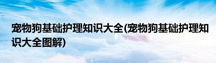 寵物狗基礎(chǔ)護(hù)理知識大全(寵物狗基礎(chǔ)護(hù)理知識大全圖解)