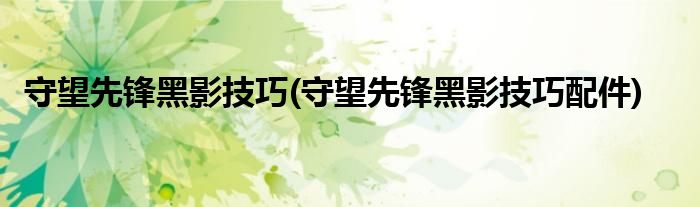 守望先鋒黑影技巧(守望先鋒黑影技巧配件)