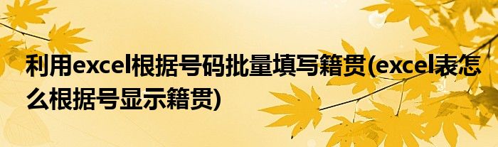 利用excel根據(jù)號碼批量填寫籍貫(excel表怎么根據(jù)號顯示籍貫)