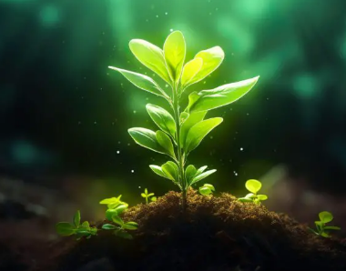 科學(xué)家揭開植物再生的秘密
