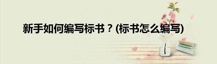 新手如何編寫標(biāo)書？(標(biāo)書怎么編寫)