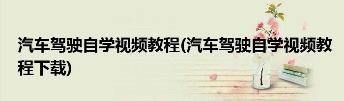 汽車駕駛自學(xué)視頻教程(汽車駕駛自學(xué)視頻教程下載)