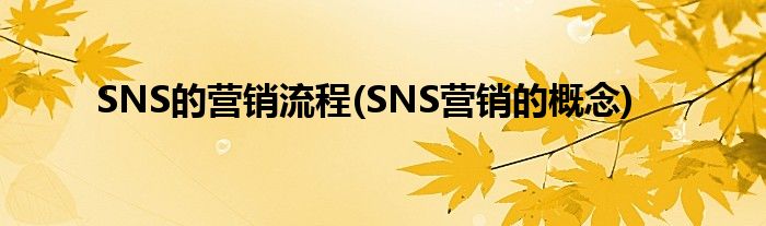 SNS的營(yíng)銷流程(SNS營(yíng)銷的概念)