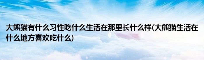 大熊貓有什么習性吃什么生活在那里長什么樣(大熊貓生活在什么地方喜歡吃什么)
