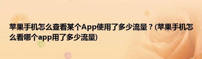 蘋果手機怎么查看某個App使用了多少流量？(蘋果手機怎么看哪個app用了多少流量)