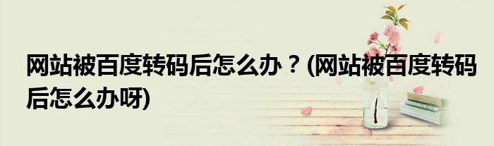 網(wǎng)站被百度轉(zhuǎn)碼后怎么辦？(網(wǎng)站被百度轉(zhuǎn)碼后怎么辦呀)