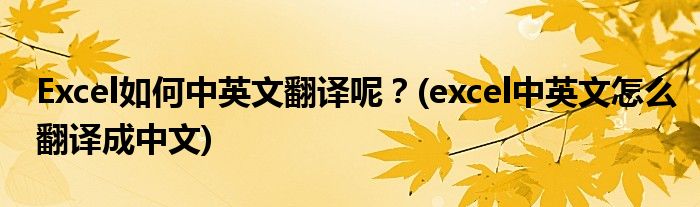 Excel如何中英文翻譯呢？(excel中英文怎么翻譯成中文)