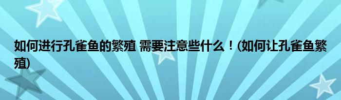 如何進行孔雀魚的繁殖 需要注意些什么！(如何讓孔雀魚繁殖)