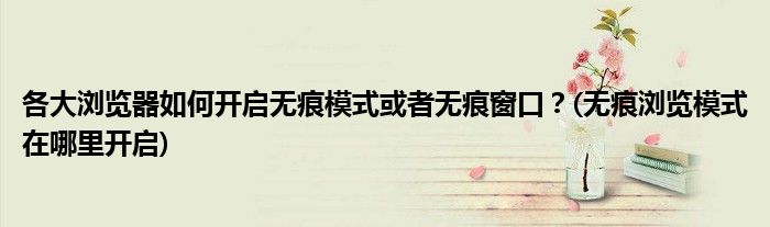 各大瀏覽器如何開啟無痕模式或者無痕窗口？(無痕瀏覽模式在哪里開啟)