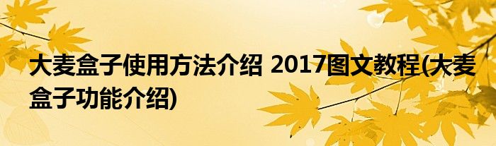 大麥盒子使用方法介紹 2017圖文教程(大麥盒子功能介紹)