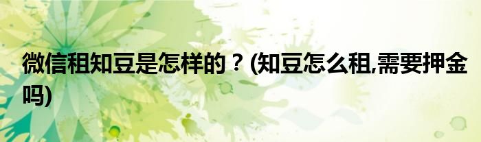 微信租知豆是怎樣的？(知豆怎么租,需要押金嗎)
