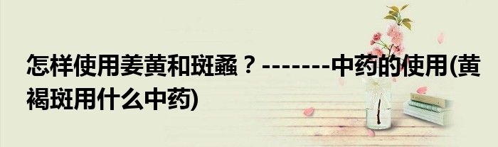 怎樣使用姜黃和斑蟊？-------中藥的使用(黃褐斑用什么中藥)