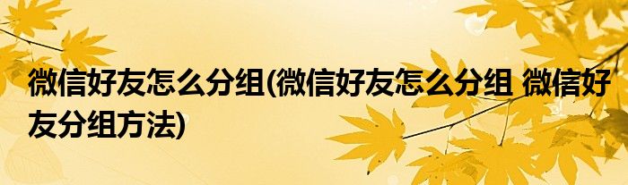 微信好友怎么分組(微信好友怎么分組 微信好友分組方法)