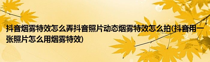 抖音煙霧特效怎么弄抖音照片動態(tài)煙霧特效怎么拍(抖音用一張照片怎么用煙霧特效)