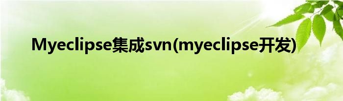 Myeclipse集成svn(myeclipse開發(fā))