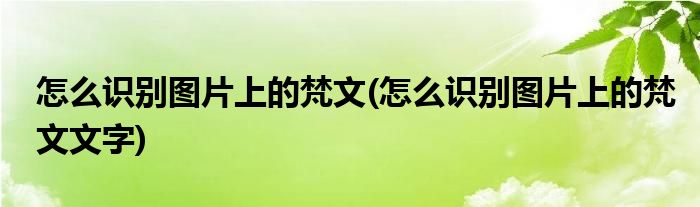 怎么識別圖片上的梵文(怎么識別圖片上的梵文文字)