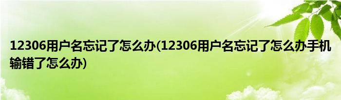 12306用戶名忘記了怎么辦(12306用戶名忘記了怎么辦手機輸錯了怎么辦)