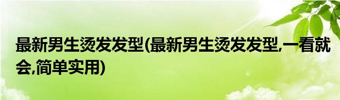 最新男生燙發(fā)發(fā)型(最新男生燙發(fā)發(fā)型,一看就會(huì),簡(jiǎn)單實(shí)用)