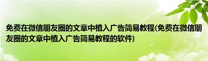 免費(fèi)在微信朋友圈的文章中植入廣告簡(jiǎn)易教程(免費(fèi)在微信朋友圈的文章中植入廣告簡(jiǎn)易教程的軟件)