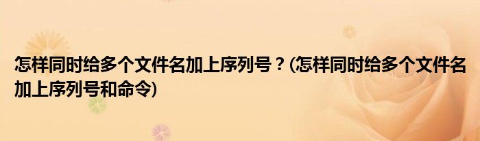 怎樣同時(shí)給多個(gè)文件名加上序列號(hào)？(怎樣同時(shí)給多個(gè)文件名加上序列號(hào)和命令)