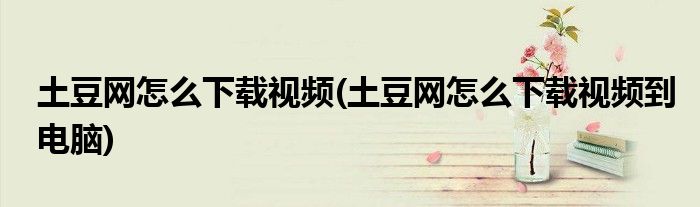 土豆網(wǎng)怎么下載視頻(土豆網(wǎng)怎么下載視頻到電腦)