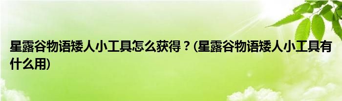 星露谷物語矮人小工具怎么獲得？(星露谷物語矮人小工具有什么用)