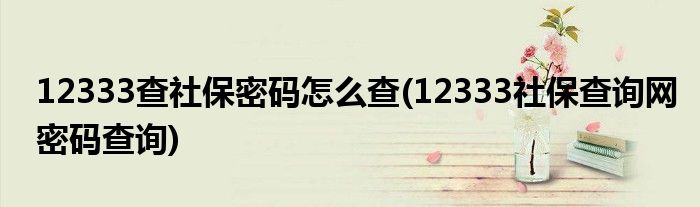 12333查社保密碼怎么查(12333社保查詢網(wǎng)密碼查詢)