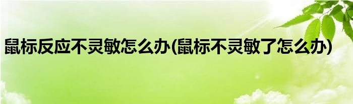 鼠標(biāo)反應(yīng)不靈敏怎么辦(鼠標(biāo)不靈敏了怎么辦)