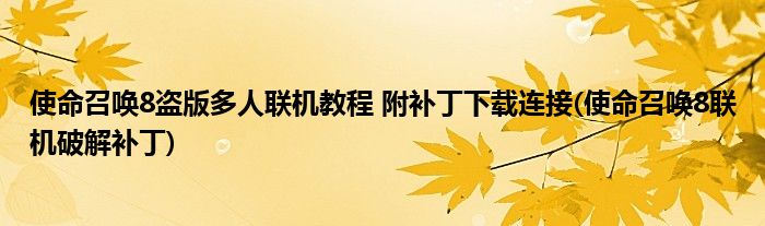 使命召喚8盜版多人聯(lián)機教程 附補丁下載連接(使命召喚8聯(lián)機破解補丁)