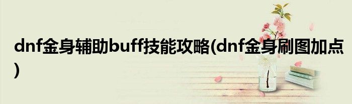 dnf金身輔助buff技能攻略(dnf金身刷圖加點(diǎn))