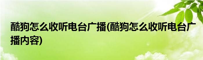 酷狗怎么收聽(tīng)電臺(tái)廣播(酷狗怎么收聽(tīng)電臺(tái)廣播內(nèi)容)