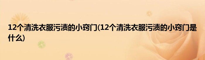 12個清洗衣服污漬的小竅門(12個清洗衣服污漬的小竅門是什么)
