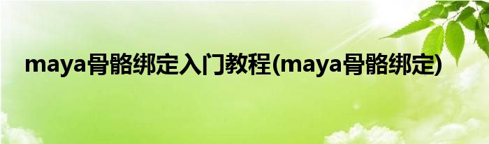 maya骨骼綁定入門教程(maya骨骼綁定)