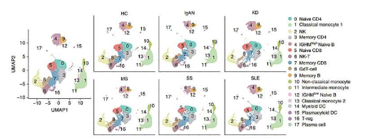 單細(xì)胞 RNA 測序分析揭示五種自身免疫性疾病的免疫細(xì)胞異質(zhì)性