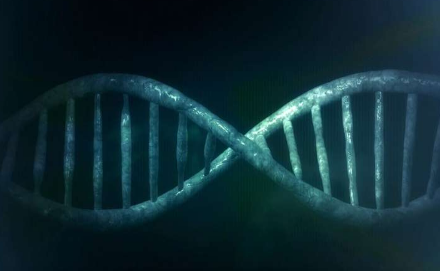 遺傳生物標(biāo)志物可以預(yù)測(cè)食物過(guò)敏的嚴(yán)重程度